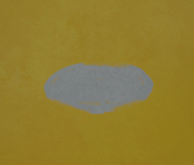 flyflybird lcd handheld worn effect