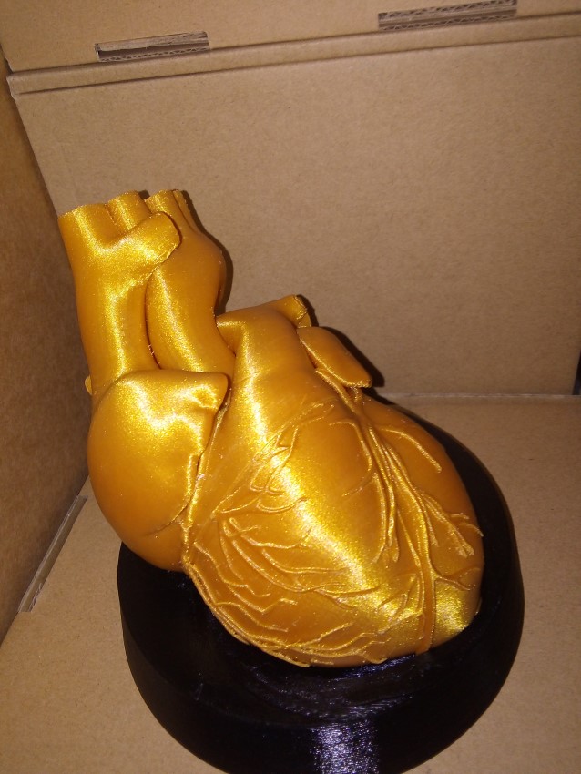 petar valchanov golden heart