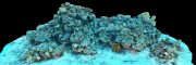 Underwater Imaging for Coral Reef 3D Mapping