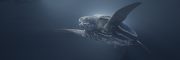 Science Spotlight: Digital Life Leatherback Sea Turtle